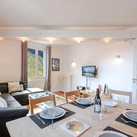 Lumineux En Centre-ville Avec 2 Et Wifi A - Fr-1-343-202 * Chamonix
